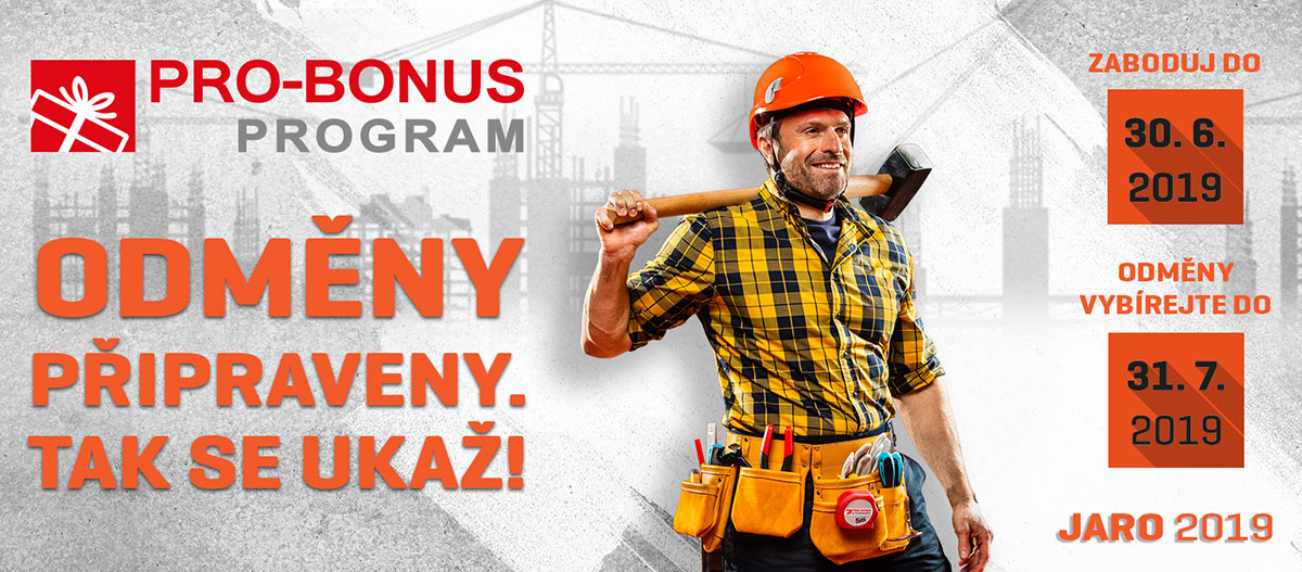 Pro-bonus program