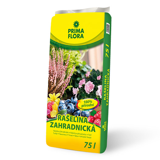 Rašelina